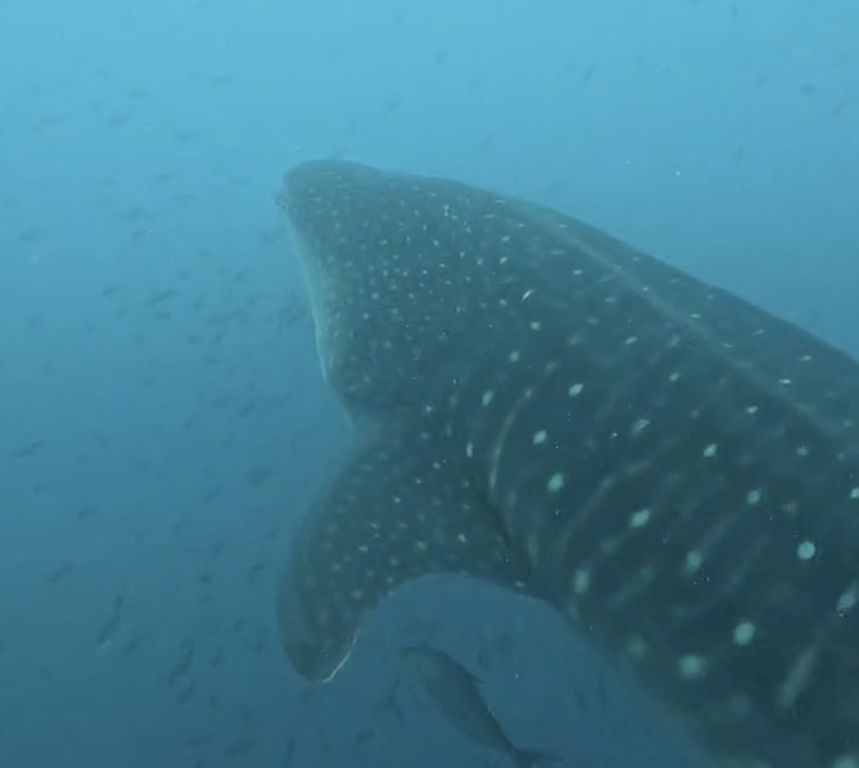 1f251b14-2ab2-4d5b-8b48-765773733a6e