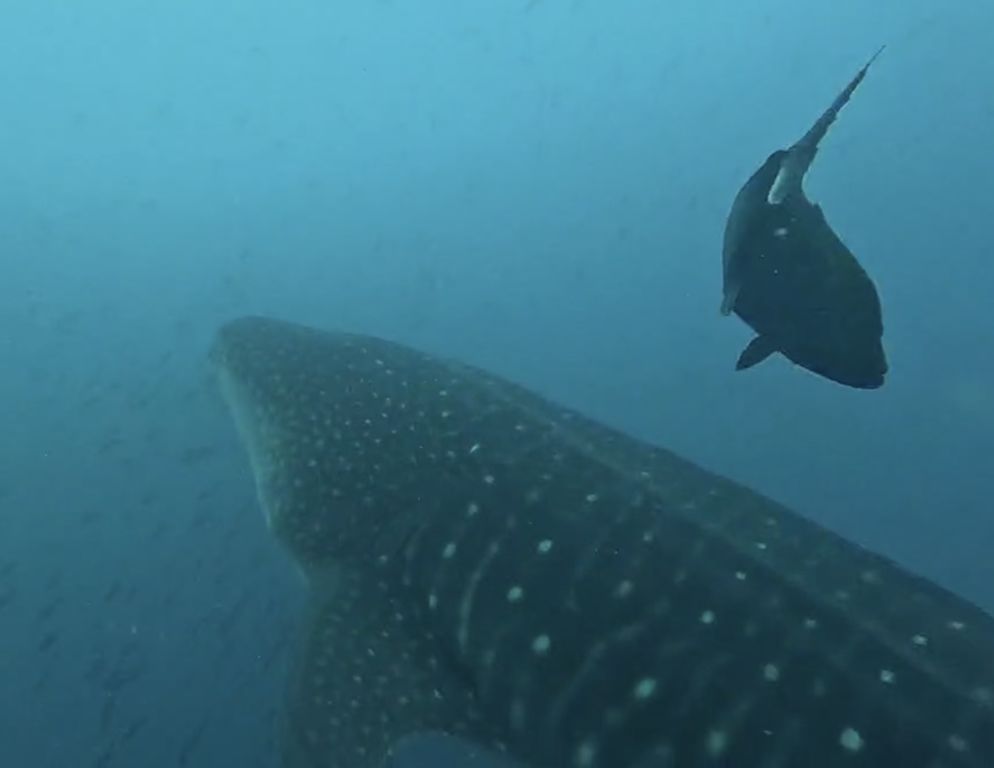 1f251b14-2ab2-4d5b-8b48-765773733a6e