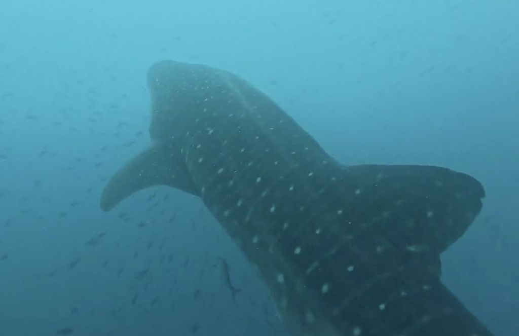 1f251b14-2ab2-4d5b-8b48-765773733a6e