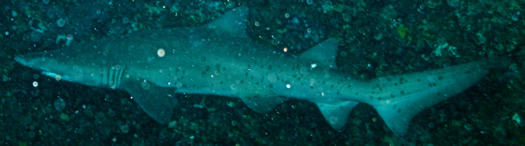 8dd01f29-a9cc-431c-9272-0f631417947f