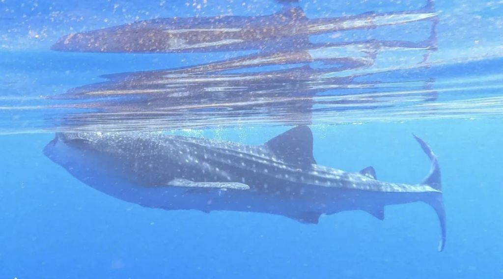 32b66e9a-b11c-4520-b7d4-520eac22b4bc