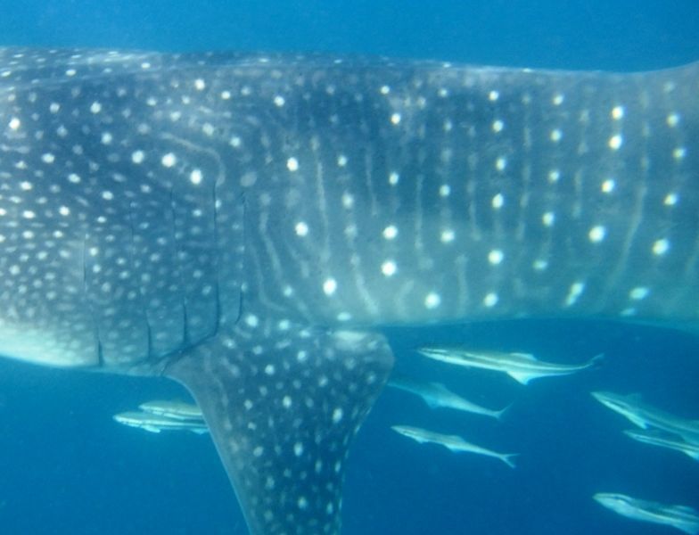 735933fb-1f4b-4411-9522-e10c27d854f2