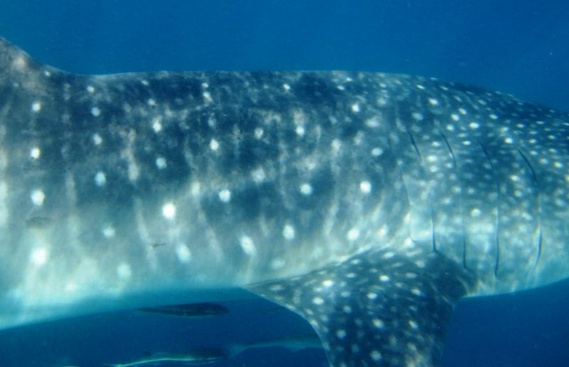 735933fb-1f4b-4411-9522-e10c27d854f2