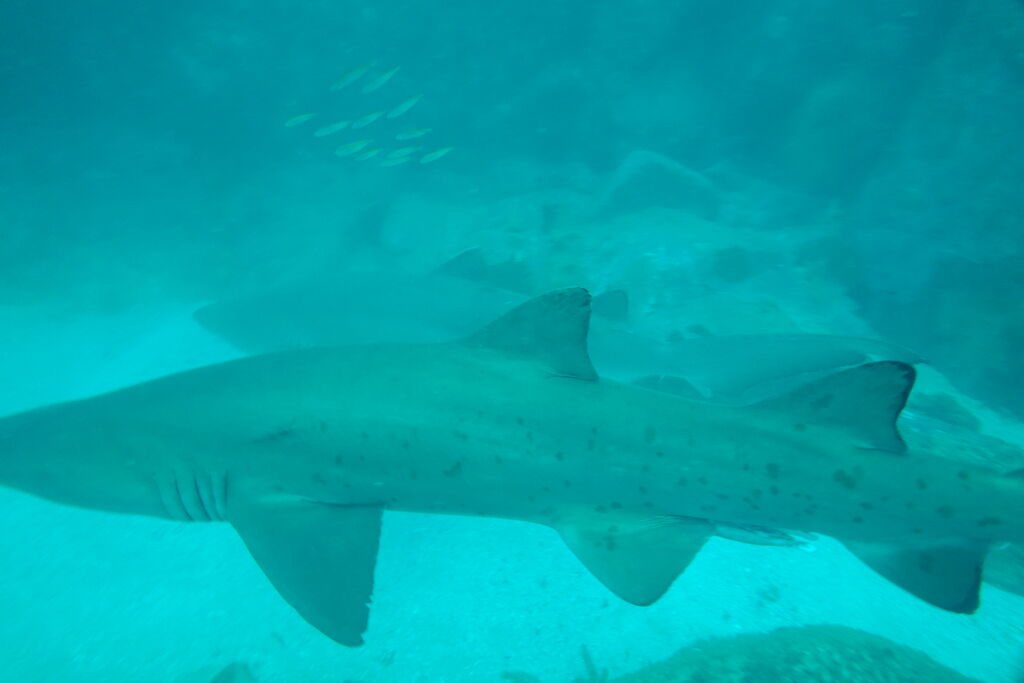 ab877c31-8ad9-490c-8141-1e3ddfc94c6e