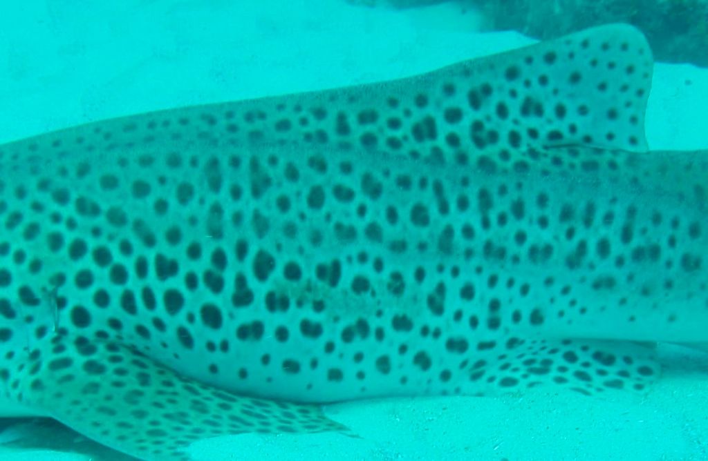 7063ed7a-c338-4c2e-9ef6-024010497365