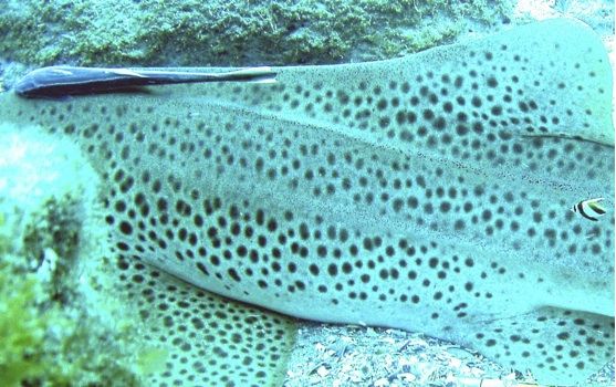 dcd28cec-6ec7-45a5-95d5-65ccd96f20f2