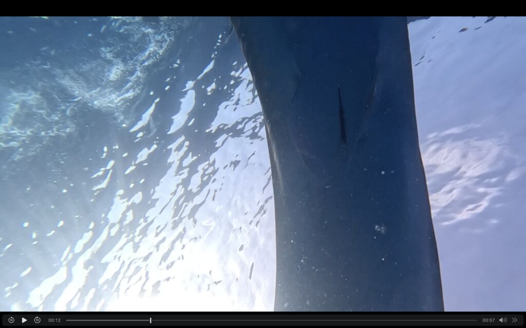 93b67437-0f47-4b8b-9006-033afa43f0d5