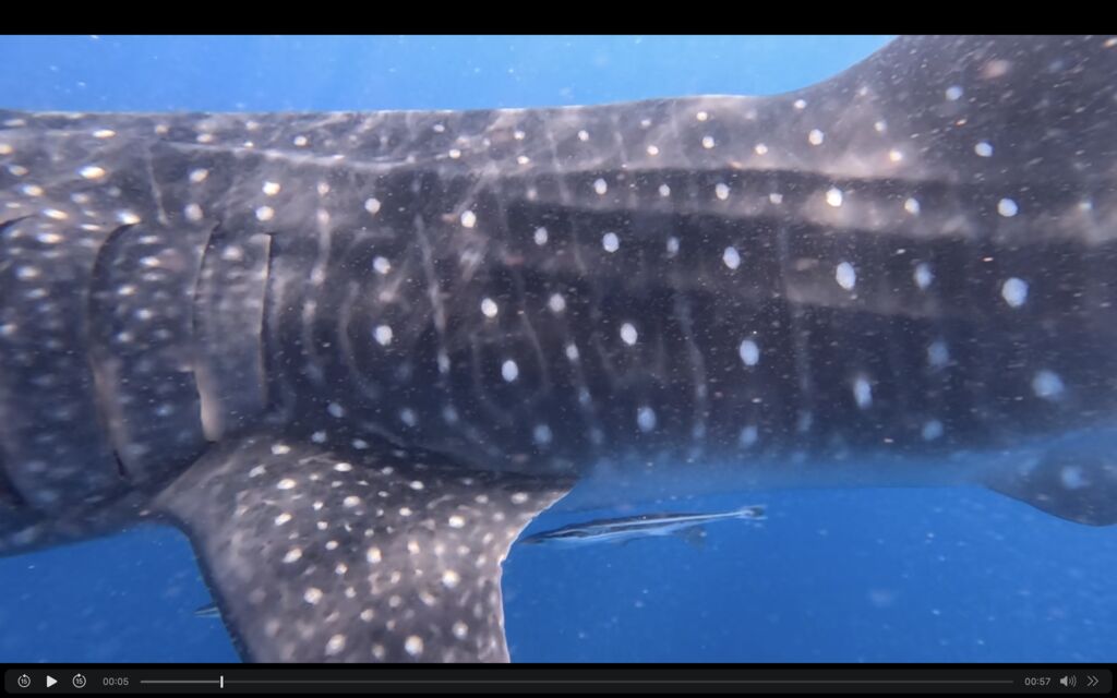 93b67437-0f47-4b8b-9006-033afa43f0d5