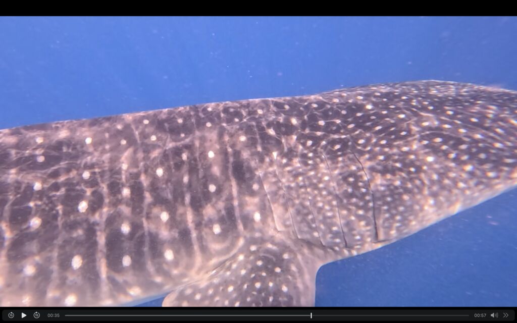 93b67437-0f47-4b8b-9006-033afa43f0d5