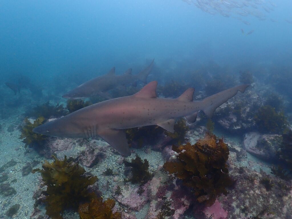 bda3b337-8779-4ef8-9426-505e5a5939ca