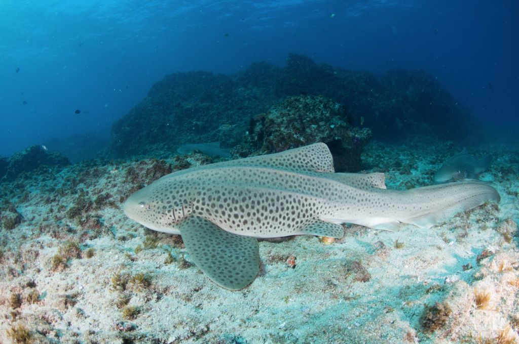 b98f690b-ff93-4f34-a2d8-5d540194d83f