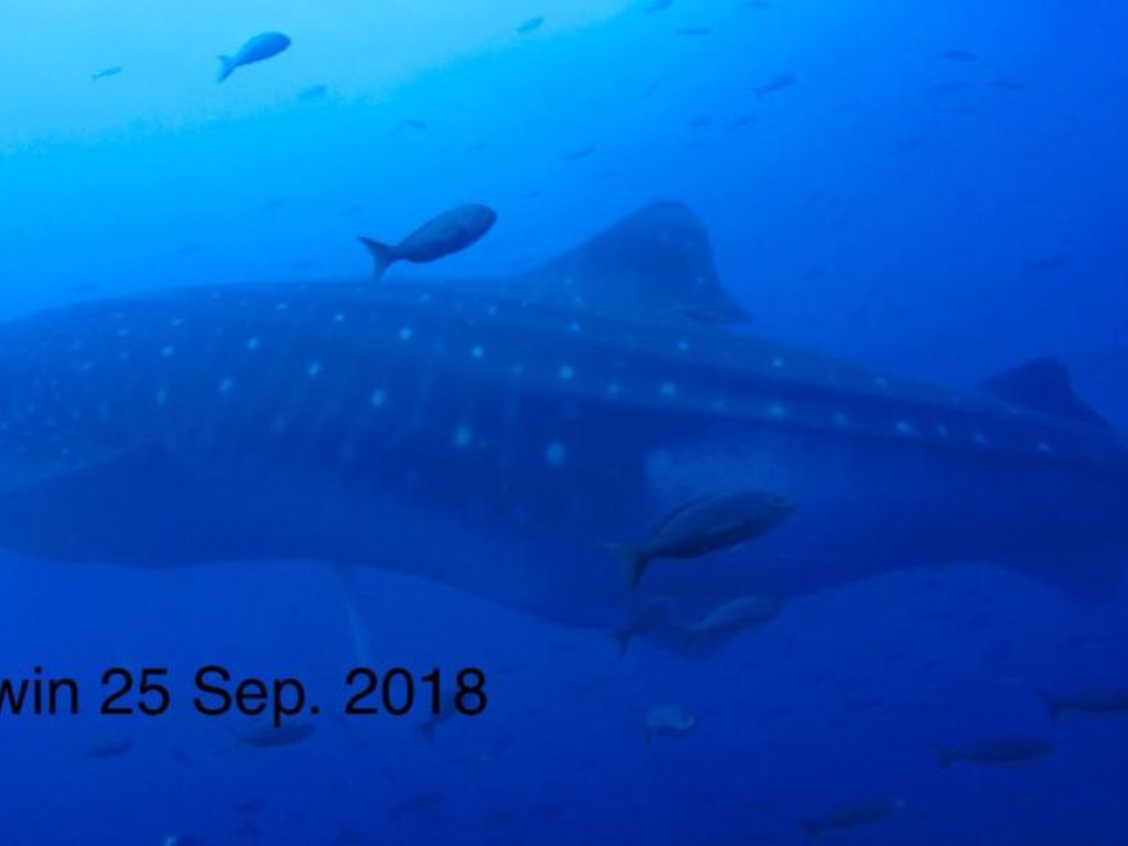 bcbba68c-c079-4d1b-a283-5488c250b7b2