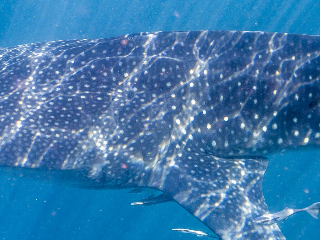 b9a3a334-0722-479b-8be1-5e6635b5d35e