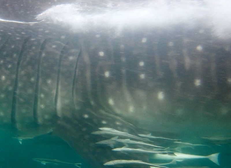 c610c46b-ae8a-4ba3-9ef6-824def61a109