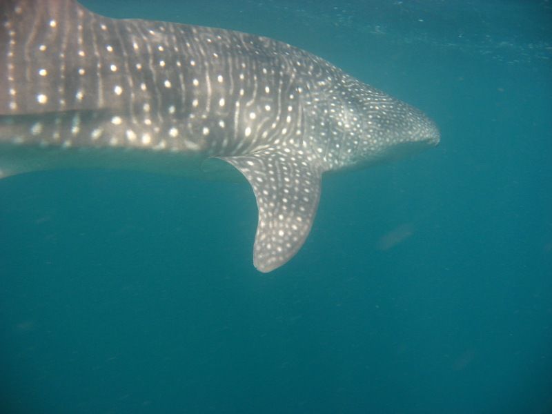 8fd49153-ae57-4f93-881f-43b43ccb46b0