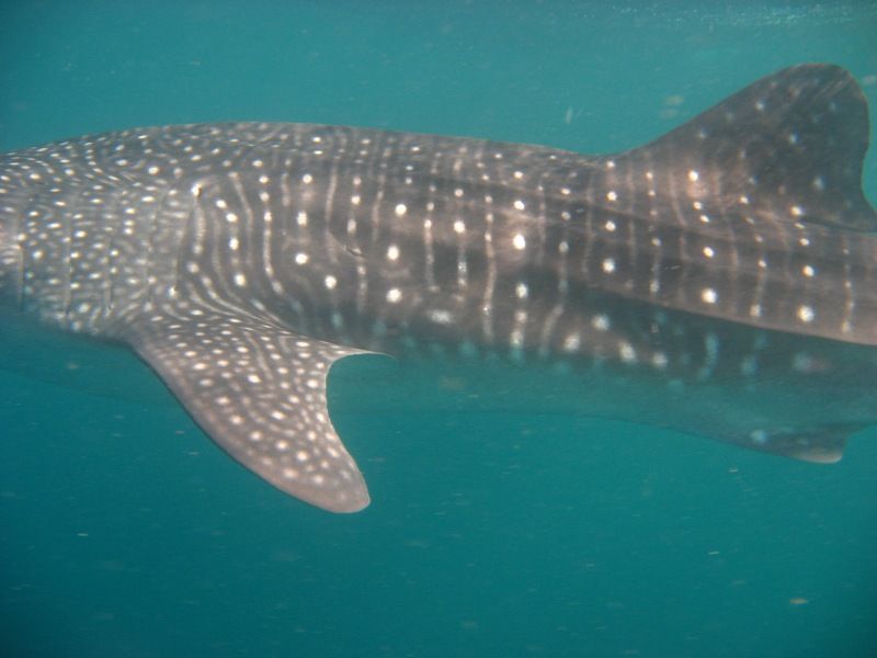 8fd49153-ae57-4f93-881f-43b43ccb46b0