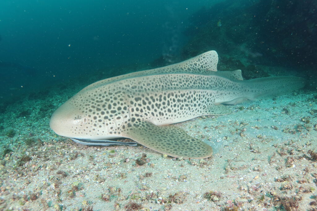 c2ca79fb-1eda-4564-9fc8-e95ecaa9609b