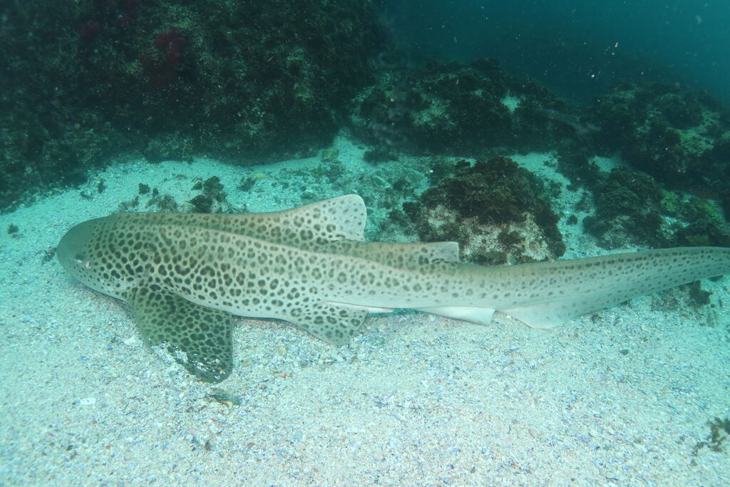 c2ca79fb-1eda-4564-9fc8-e95ecaa9609b