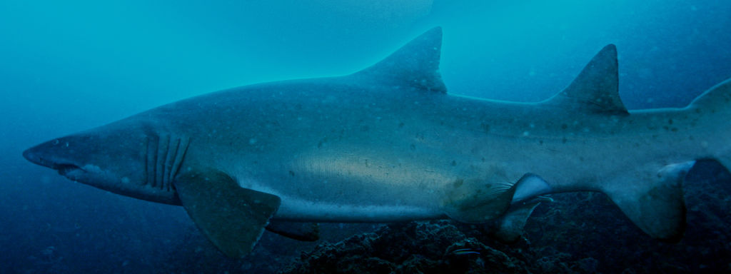 bc95eede-90b7-474c-9681-463159492dd9