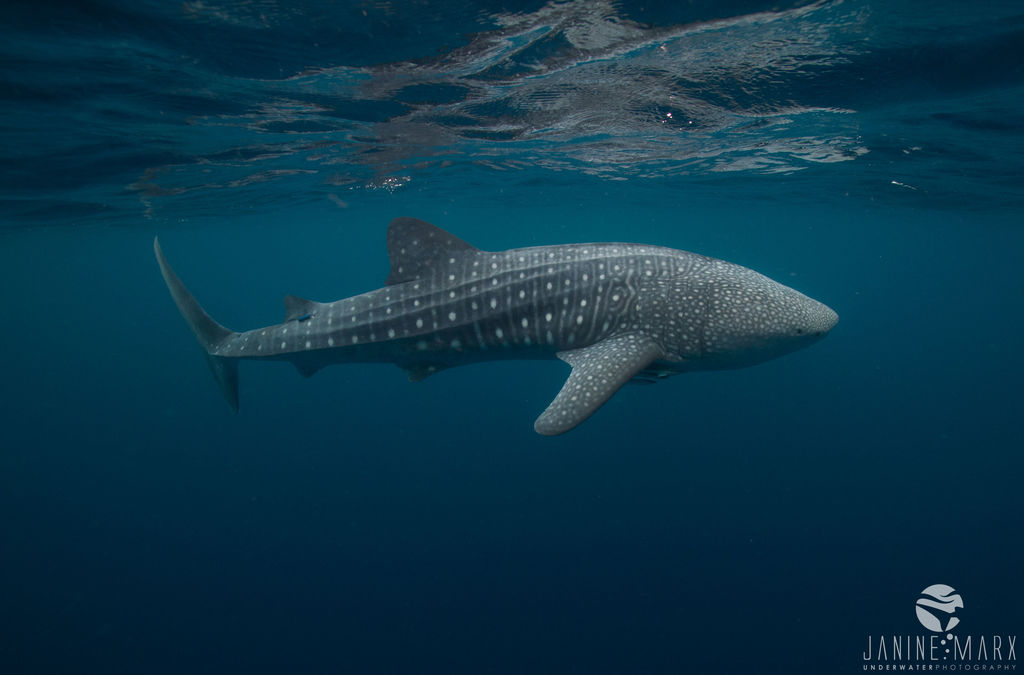 38d330a7-8bf0-496c-abef-6b4a0b474310