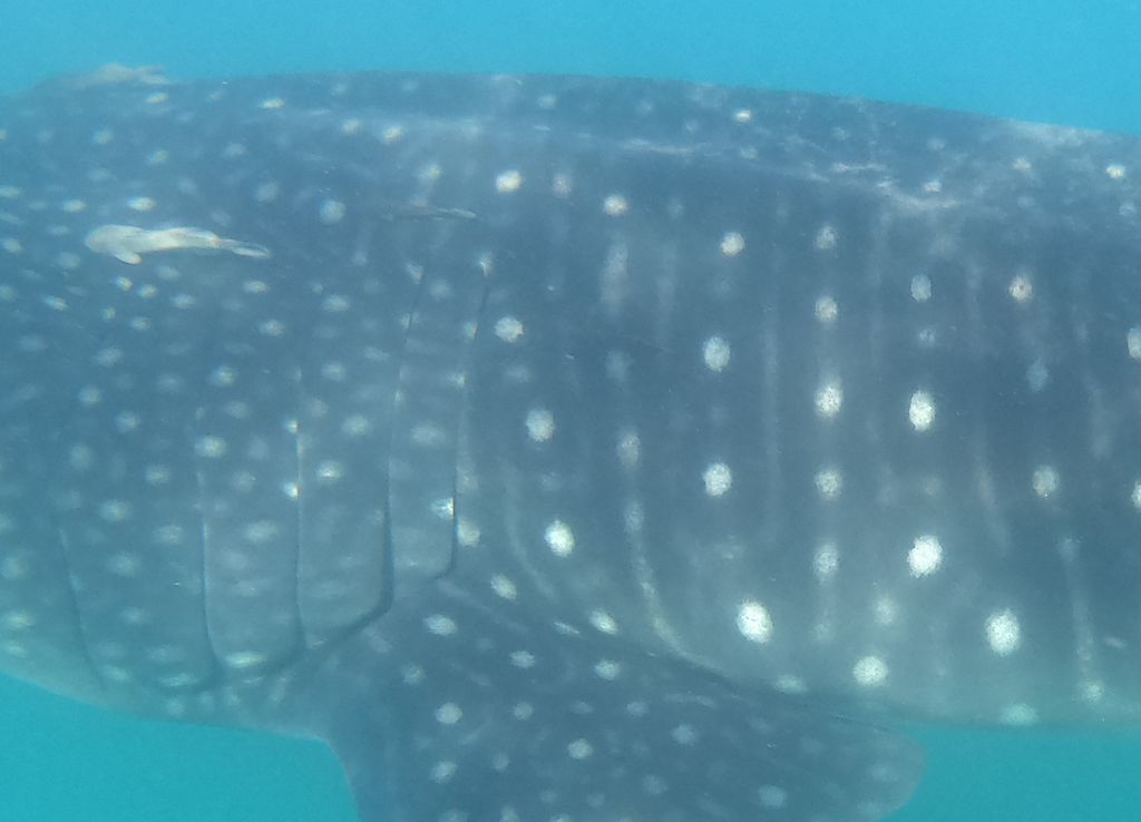 1cf3f24b-d2d8-40c0-ac50-c4d27dd6e1f1