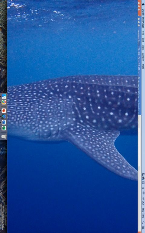 8ebf5f4a-f3ba-41b0-9495-ddba5b6392af