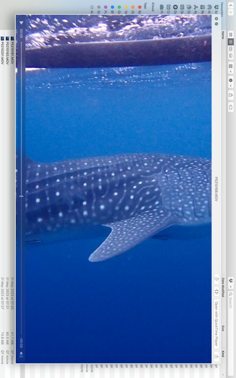 8ebf5f4a-f3ba-41b0-9495-ddba5b6392af