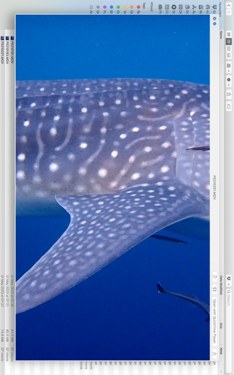 8ebf5f4a-f3ba-41b0-9495-ddba5b6392af