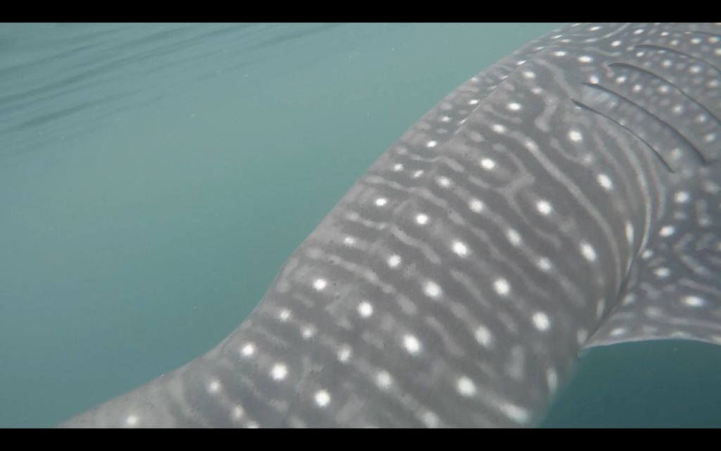 80204f7f-6fb6-426c-9933-c7e0d1d18160