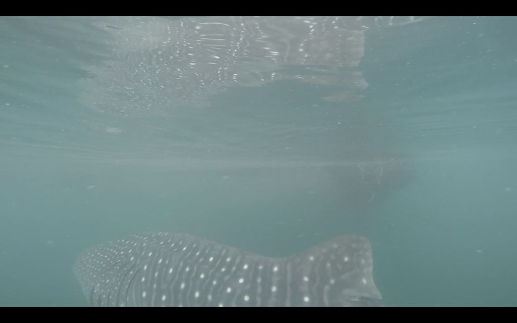 80204f7f-6fb6-426c-9933-c7e0d1d18160