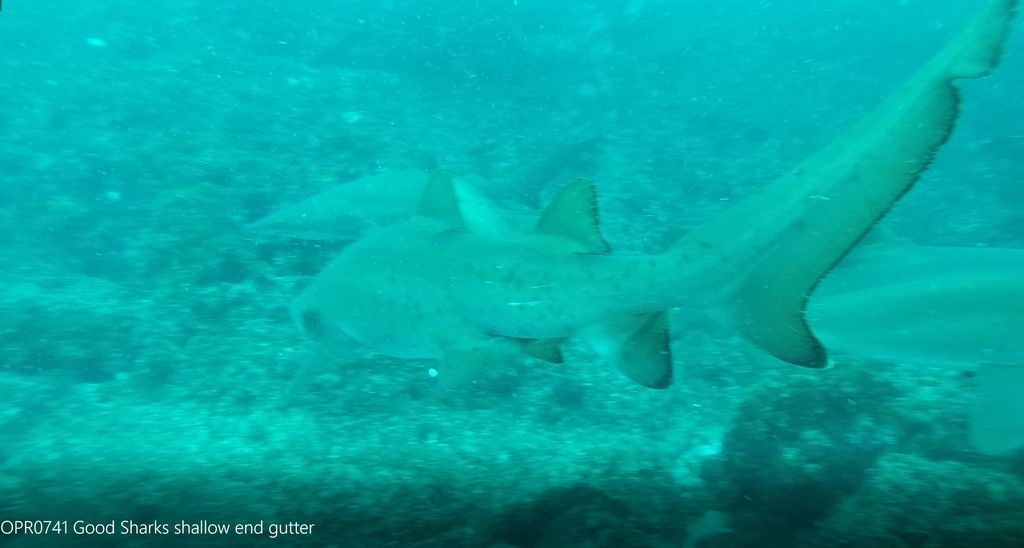 31bdcfaf-efd1-41fc-8b77-f6785debc9f7