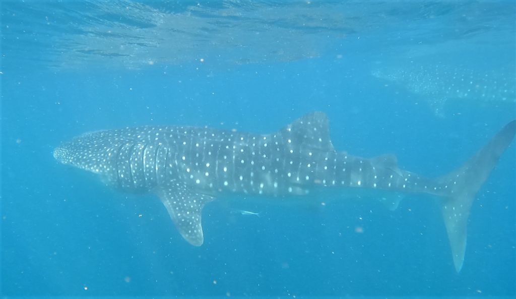 6ff0ba76-db4c-4c4d-84f1-2f8fd42ce662