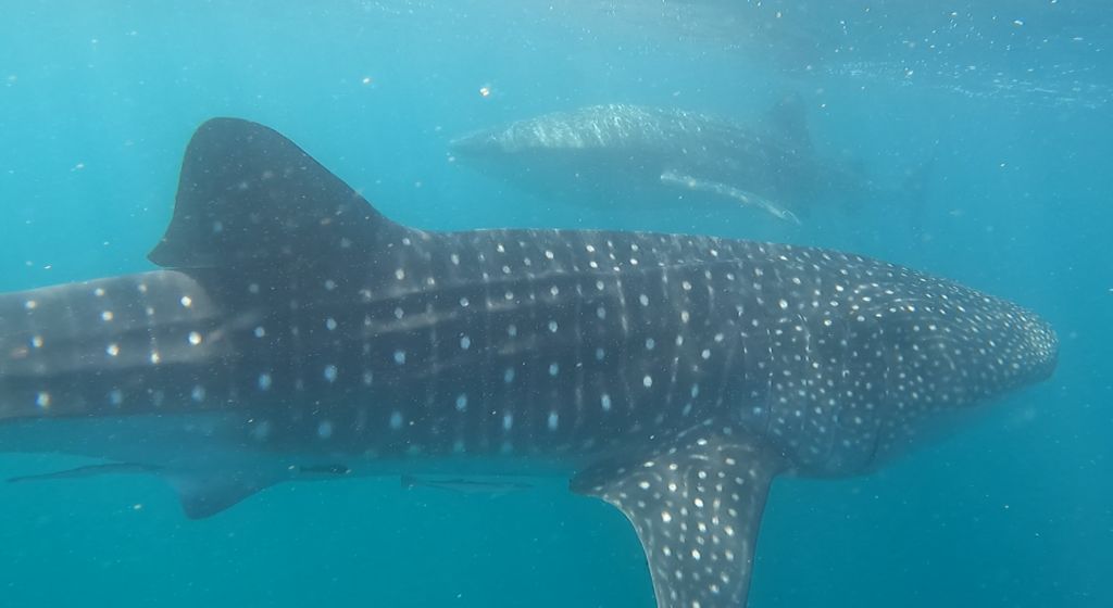 6ff0ba76-db4c-4c4d-84f1-2f8fd42ce662