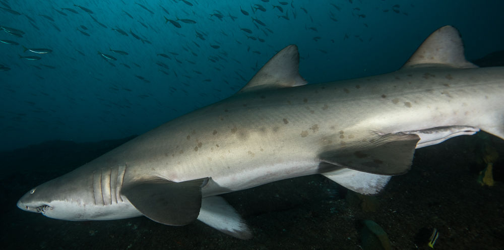 886e36b0-328e-496e-8da6-6f3c76ba0c91