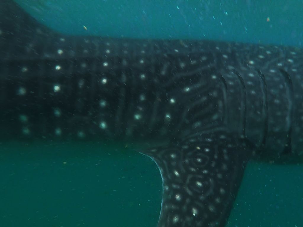 7844d3b0-db1d-4eca-b8fb-78ce7f654362