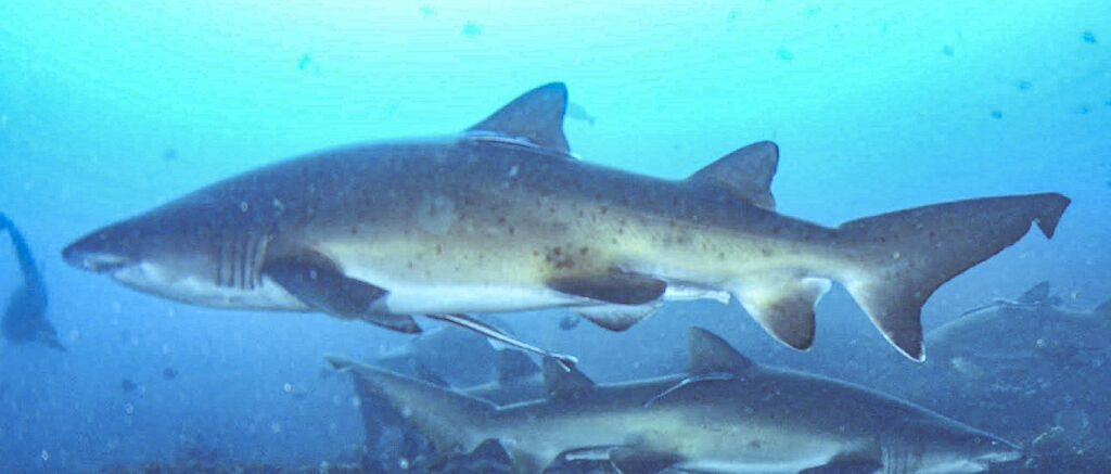 945cb0ce-8b22-498f-8ae8-9dae6002d2d4