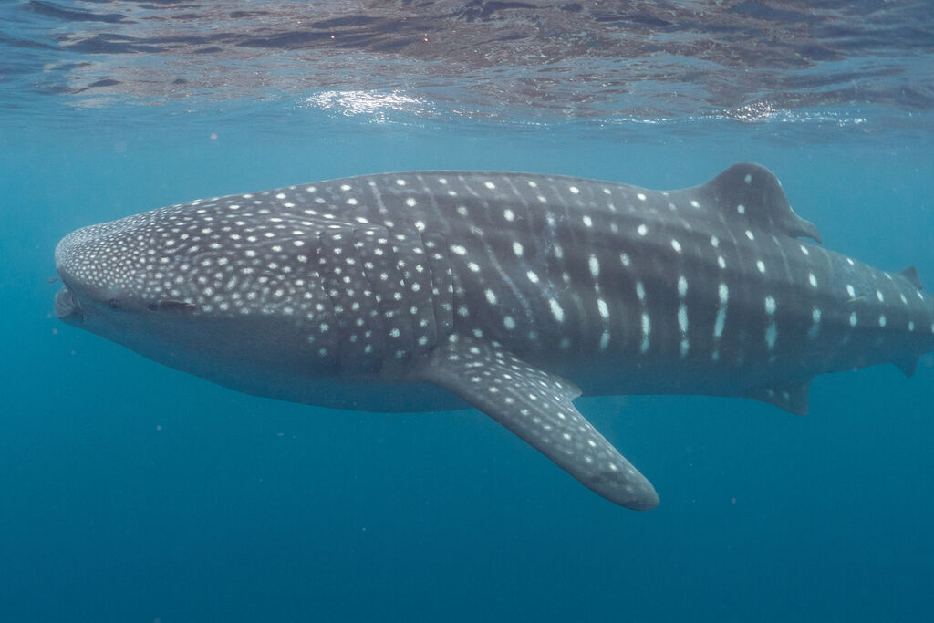 7dbfbf0c-ccd0-49df-a40a-47003f18c6de