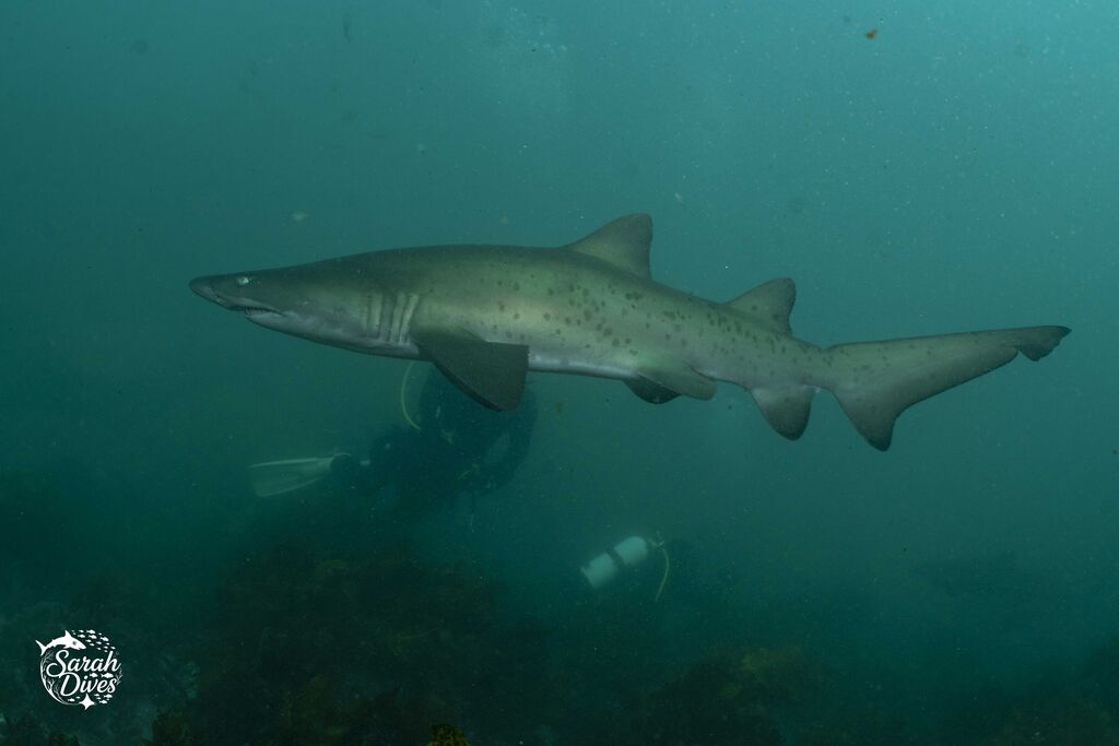 8cbfa3e7-9fa3-4399-8835-3cb3daa20afa