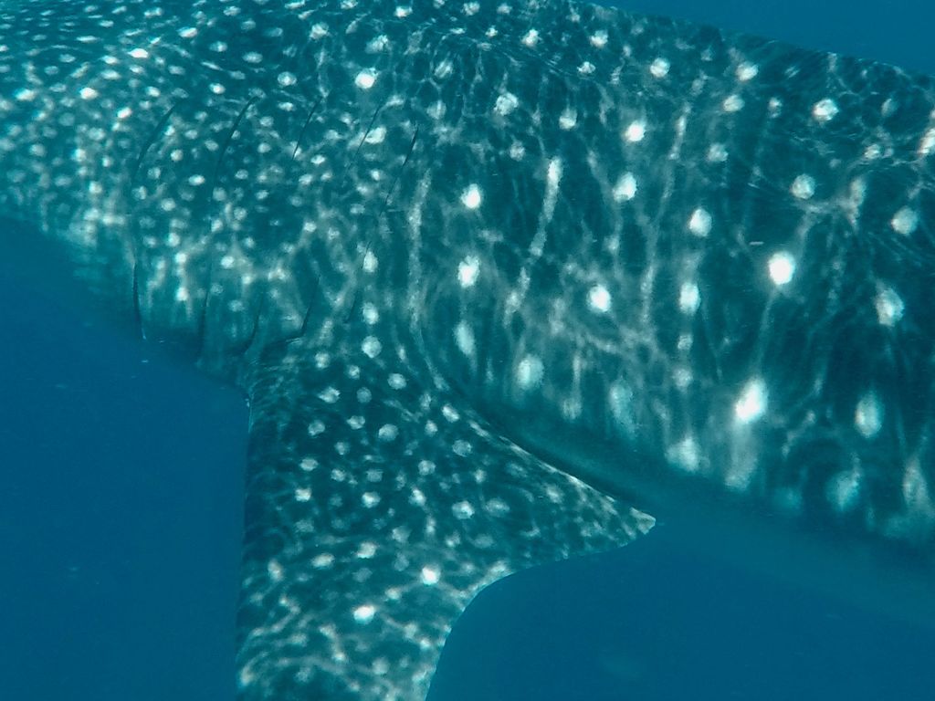 48f9833f-c9e8-42f1-b0d4-b058560bce4b