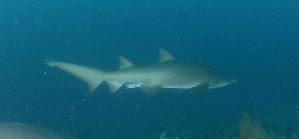 cdeb374d-7294-4c38-ba2e-50d494e60b1f