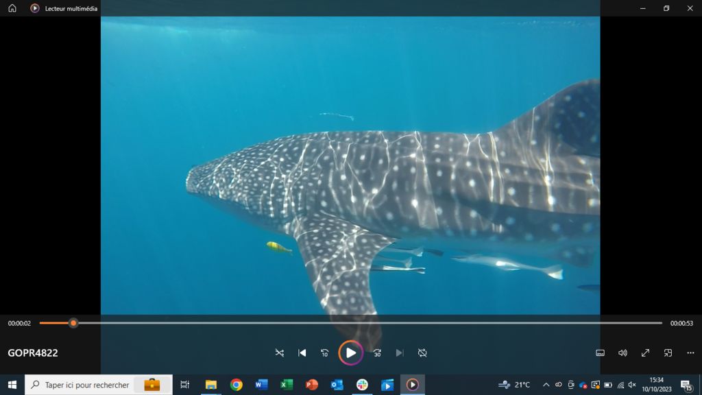 5edd6097-9213-48ce-96d6-2a4b1303075f