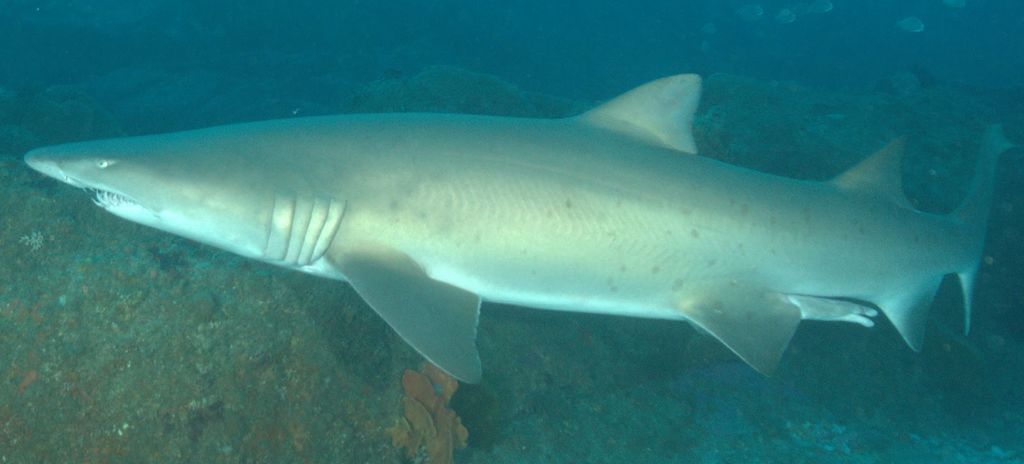 e2105cd8-3568-4c57-8503-7ac148d4ffdd