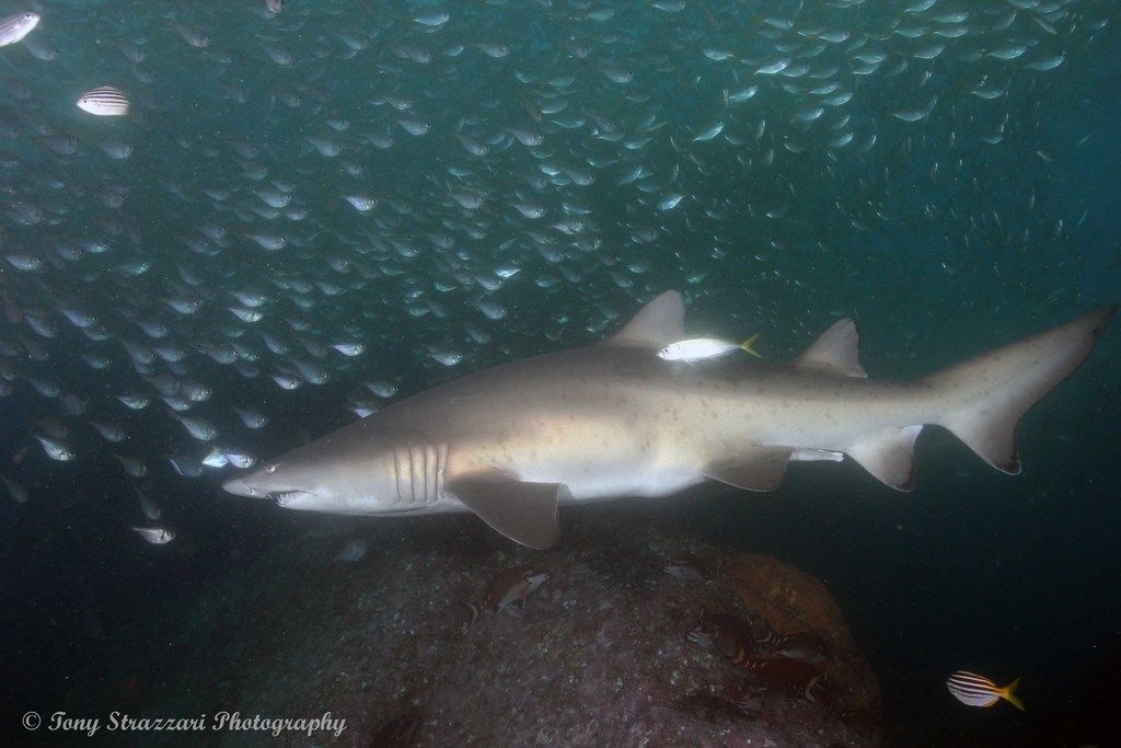 4e5321cd-9f1c-4142-a3ae-c3c22f6553dd