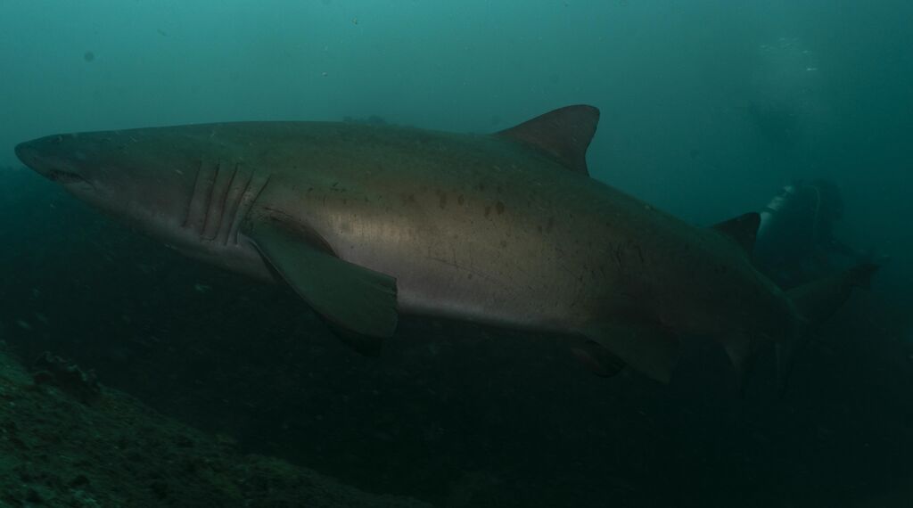 1a47b649-5919-482f-9ca0-8e09ba2ff877