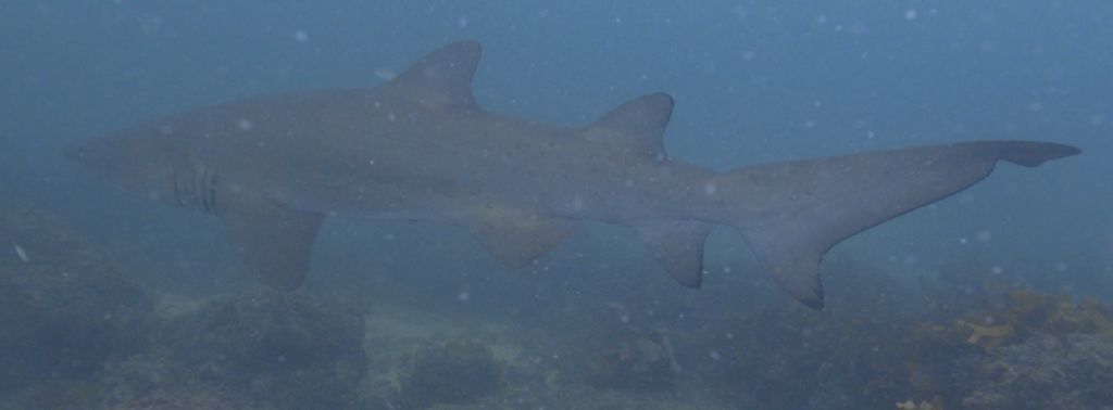 15012861-82fc-4f06-8947-8eaee72fab8e