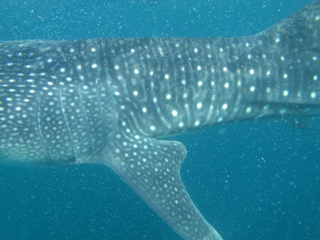 caca1877-3d6a-492c-9119-eae4796bb980