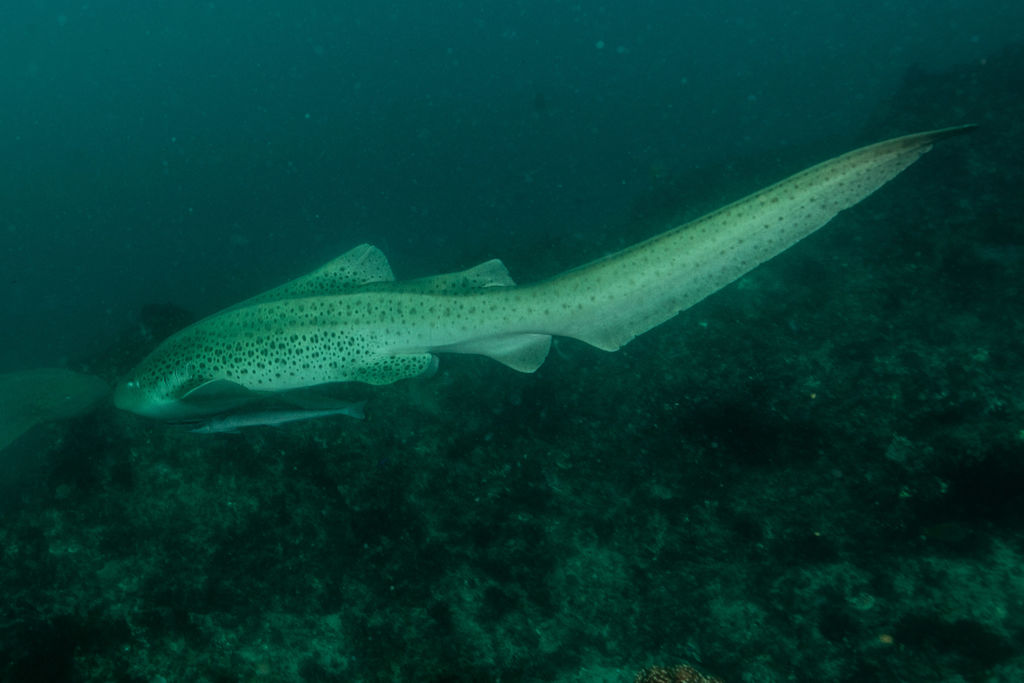 2915f28a-c58d-4bf9-856c-5eeee715a3b9