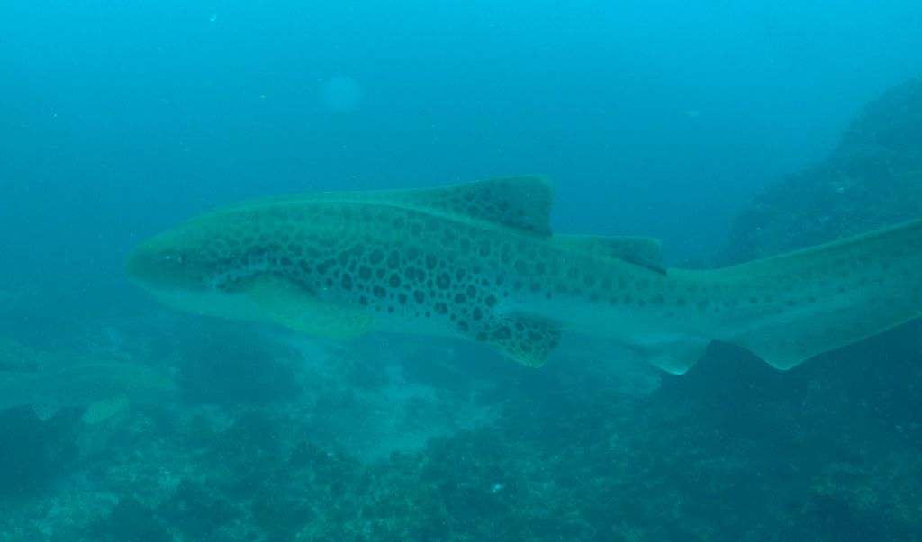 f94b10c7-70ed-4c9c-a2bc-8e44ba2c0cd6