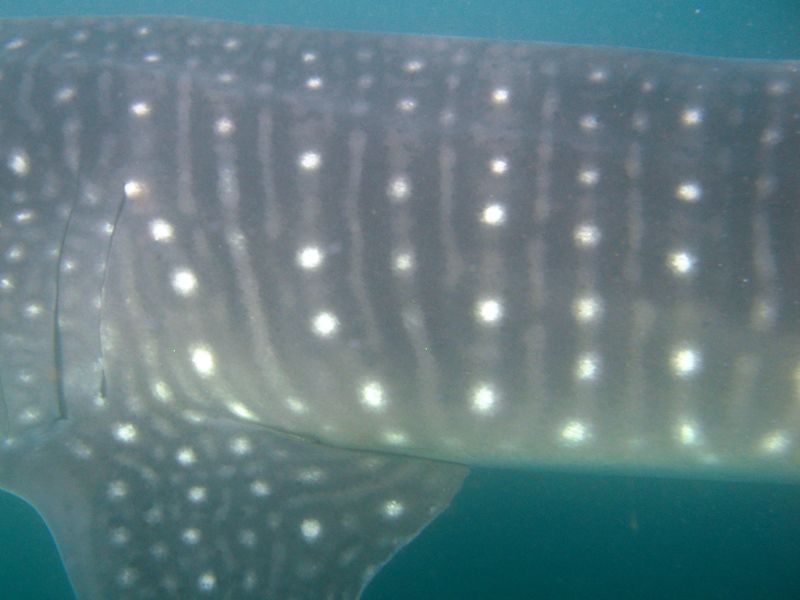 3bf44c3e-6f2c-4dde-93ac-9b43abbf970d