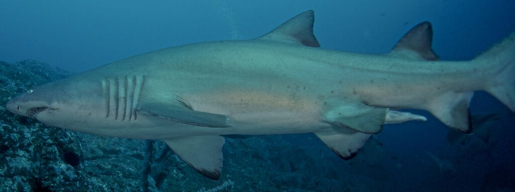 b3410681-2102-4288-99b2-a18b27840956